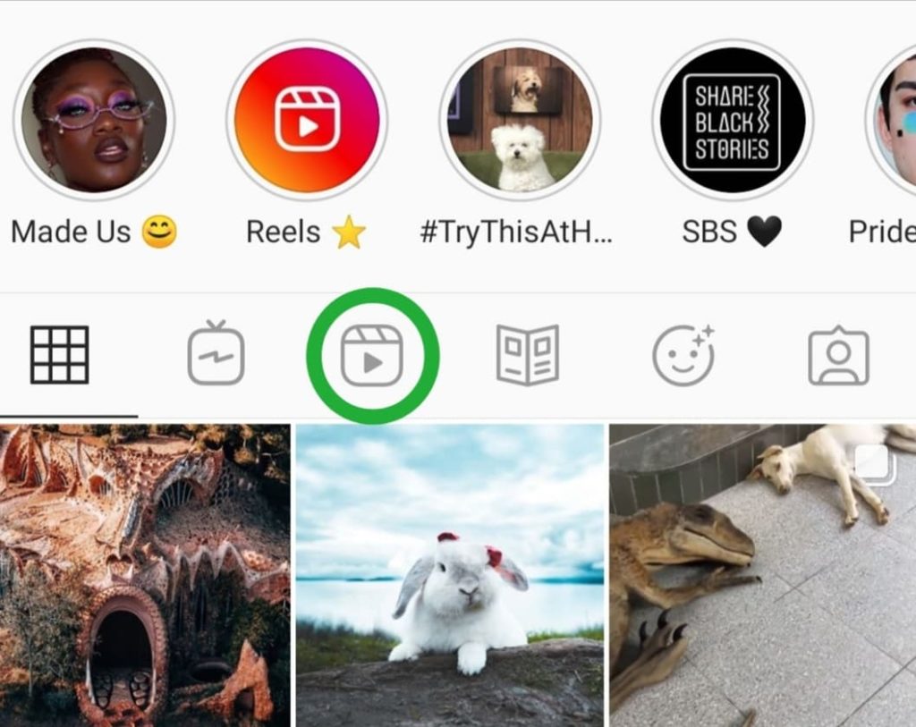 Screen grab demonstrating the location of the Reels tab on an Instagram user profile 