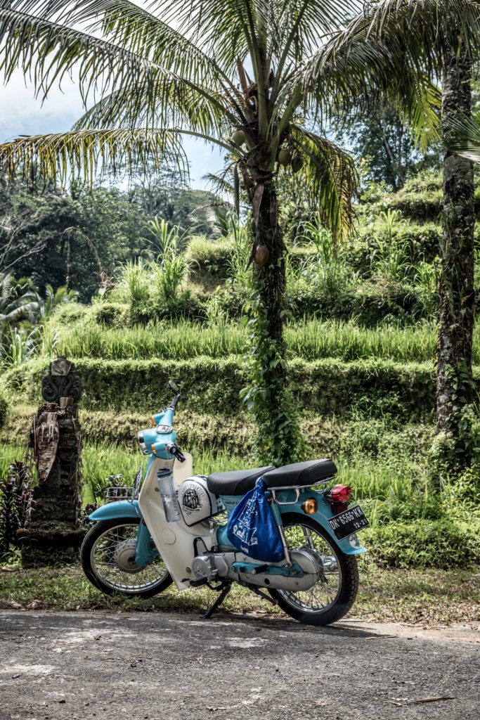 Honda Cub in Bali