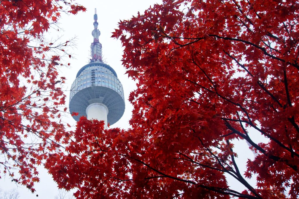 N Seoul Tower surrounding by red leaves in South Korea 