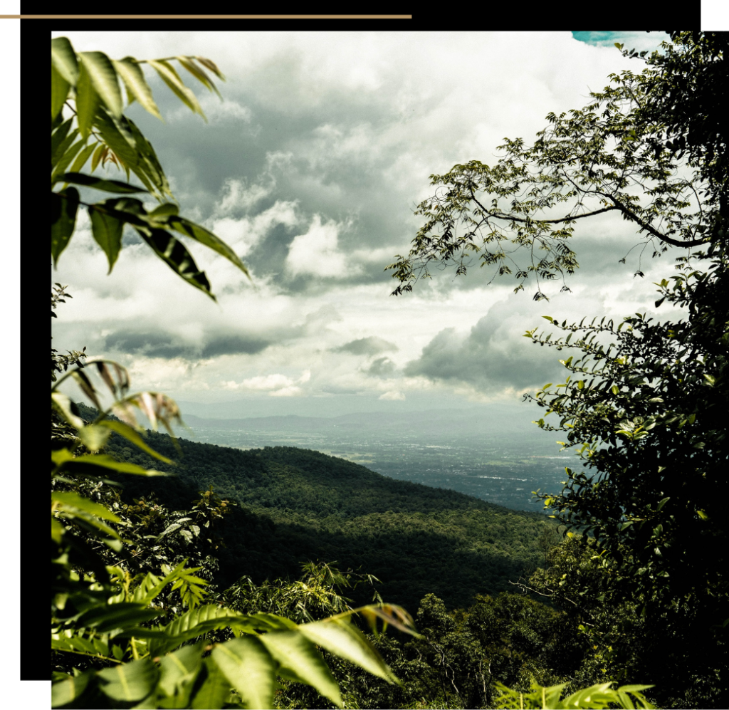 View from the mountains of Chiang Mai