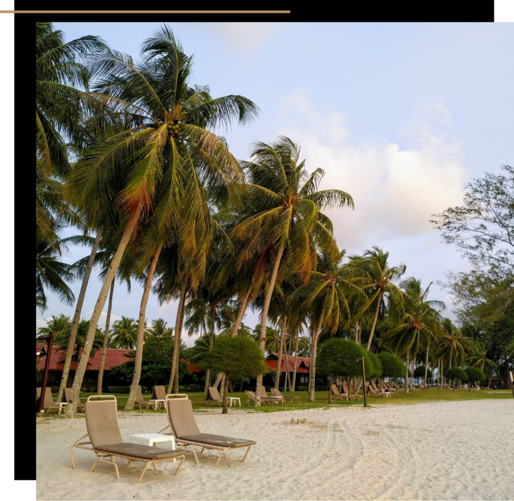 Palm trees on the beach in Langkawi