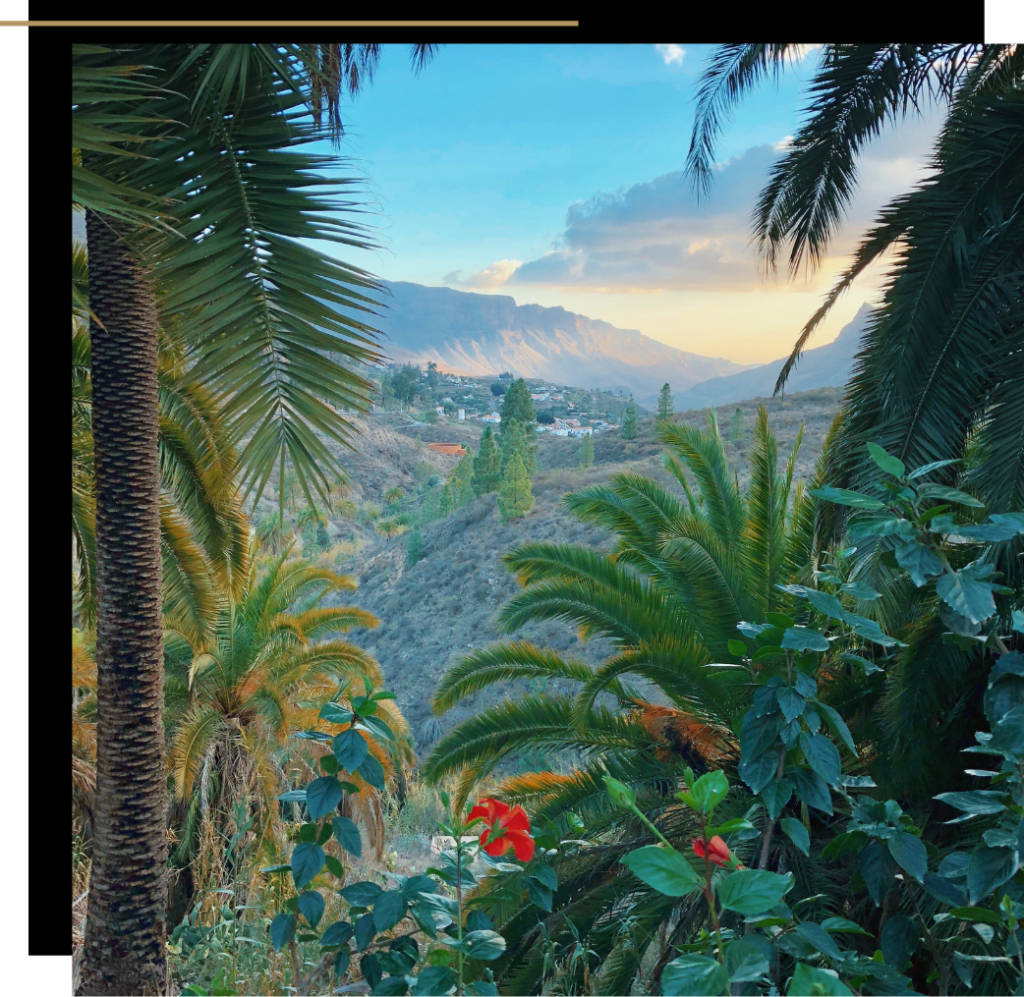 View of the hills and mountains in Gran Canaria