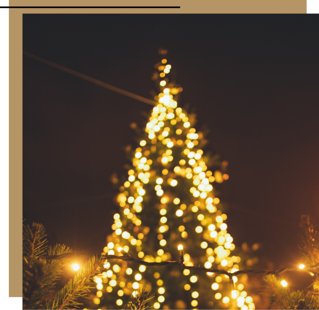 A Christmas tree in Budapest, Hungary where one of the best Christmas markets in Europe is held 