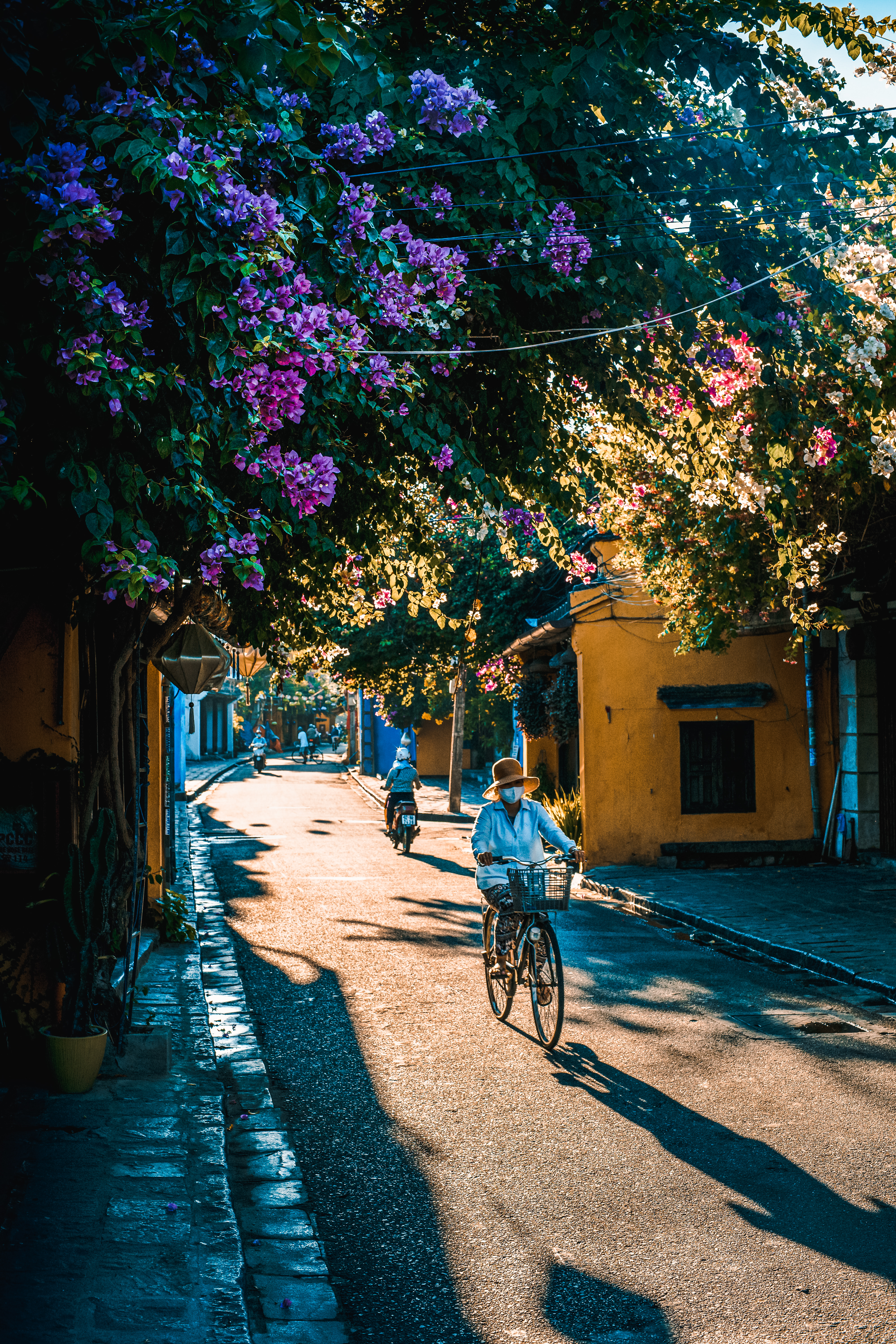 Bicycle in Hoi An, Vietnam