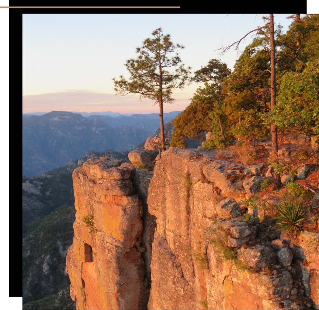 The Copper Canyon, one of the best reasons to visit Mexico 