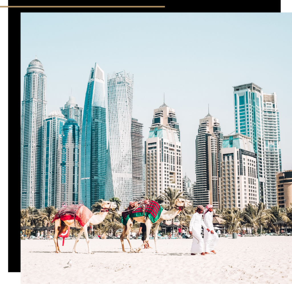 Camels on the beach in Dubai