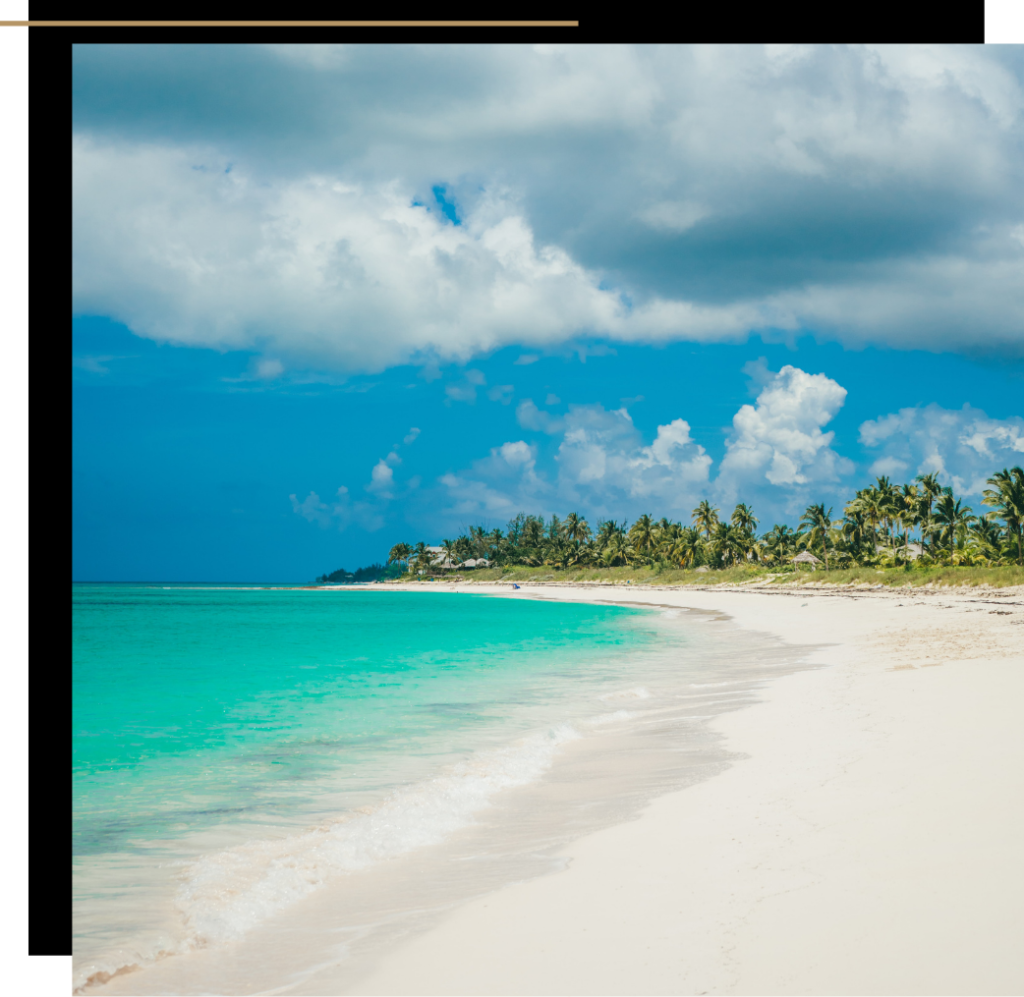 The beach in the Bahamas 